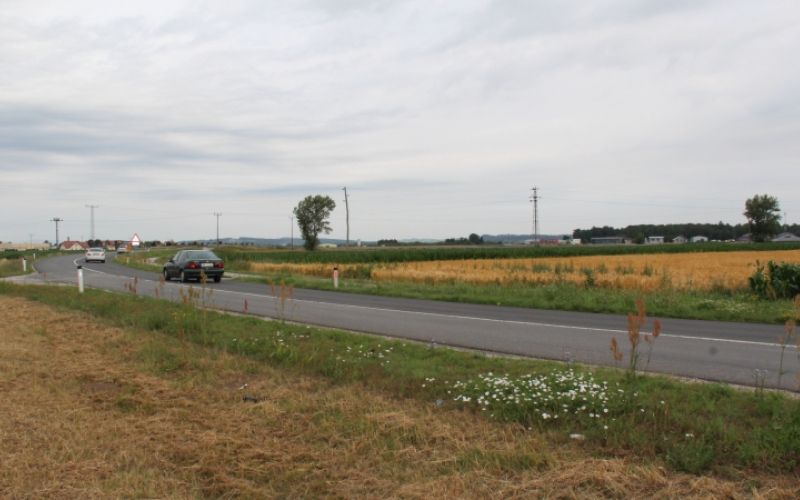 1498499646_mz_cesta.jpg