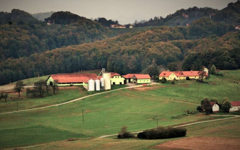 1687183065_mv-vindis_belsak_3.jpg