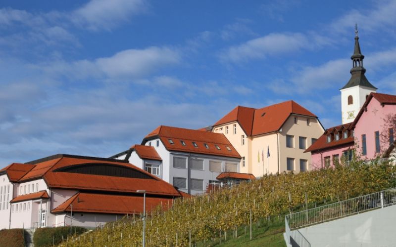 1524053935_cg_destrnik.jpg