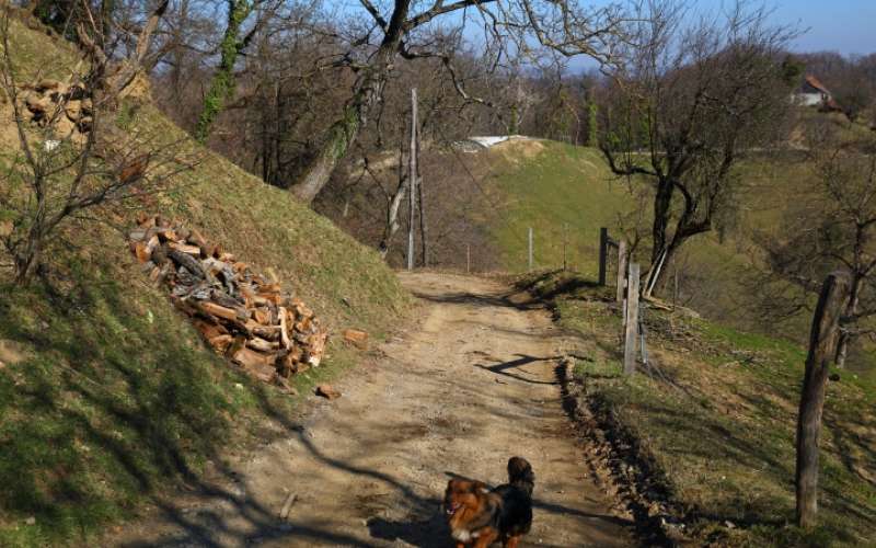 1701714490_cg_makadamske_ceste.jpg