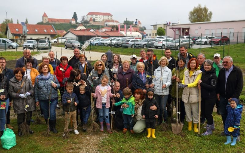 1651597467_cg_sajenje_dreves_soroptimistke_2.jpg