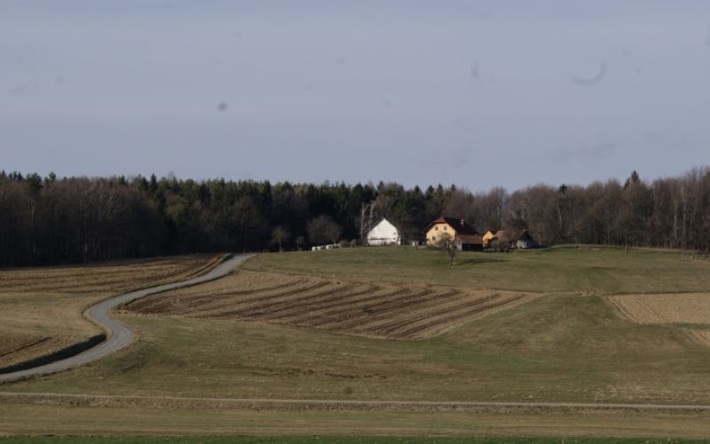 1586777308_sd-korona_ukrepi_kmetijstvo.jpg