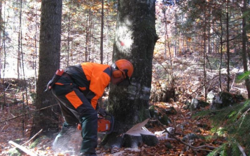 1520677421_op_gozdarski_tecaj_podlehnik.jpg