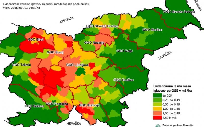 1476531529_mv-podlubniki.jpg