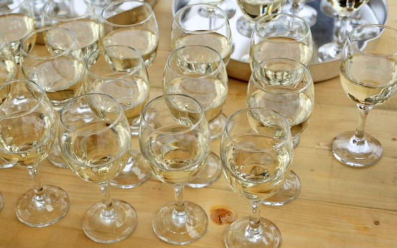 1551357440_cg_vino_kurentovanje.jpg