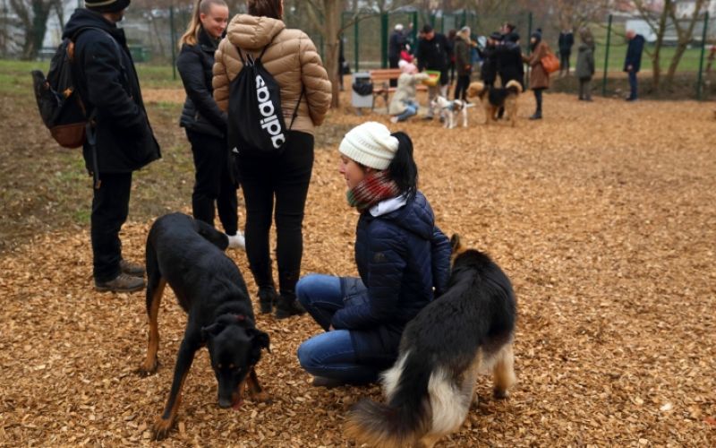 1621865962_cg_pasji_park_1.jpg