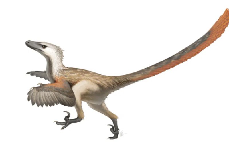 1645109022_sd-dinozavri01.png