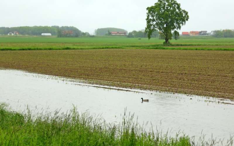 1684759427_cg_poplave_1.jpg
