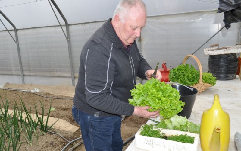 1538149425_mv-monsanto_2.jpg