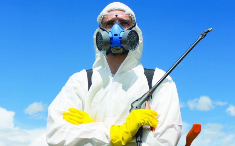 1561199234_sd-pesticid2.jpeg