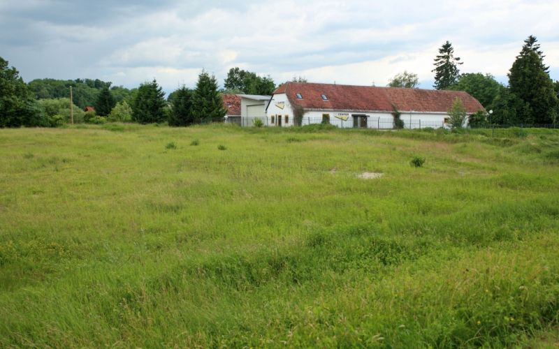 1465209746_cg_marof.jpg