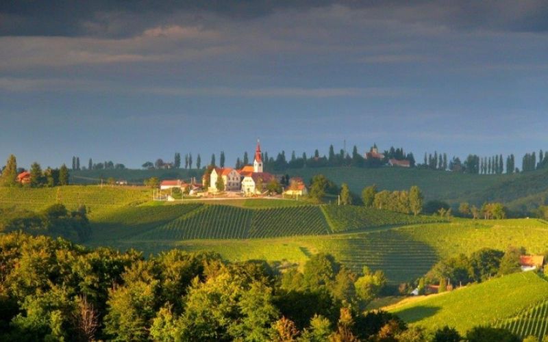 1480951022_las-vinogradi.jpg