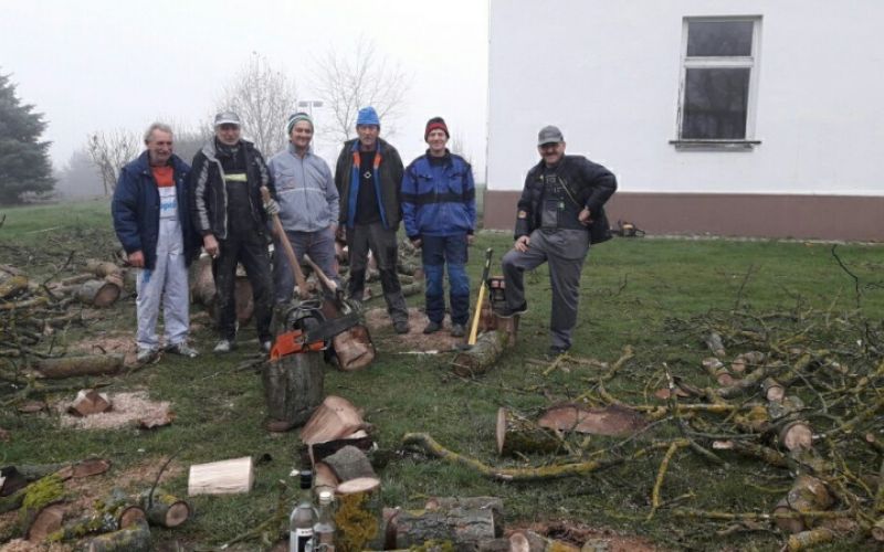 1576165210_mz_oreh_polensak.jpg