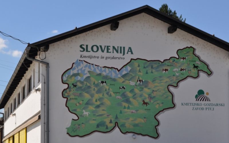 1547897119_mv-zbornica.jpg