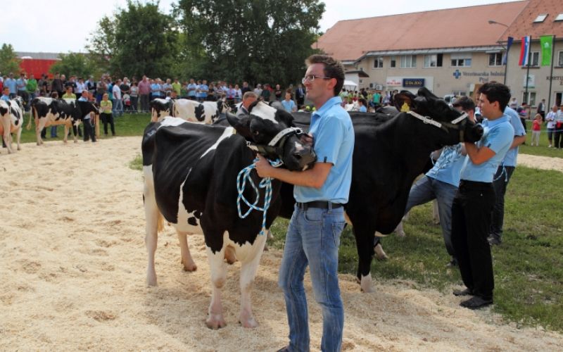 1480851233_cg_kgz_ptuj_2.jpg