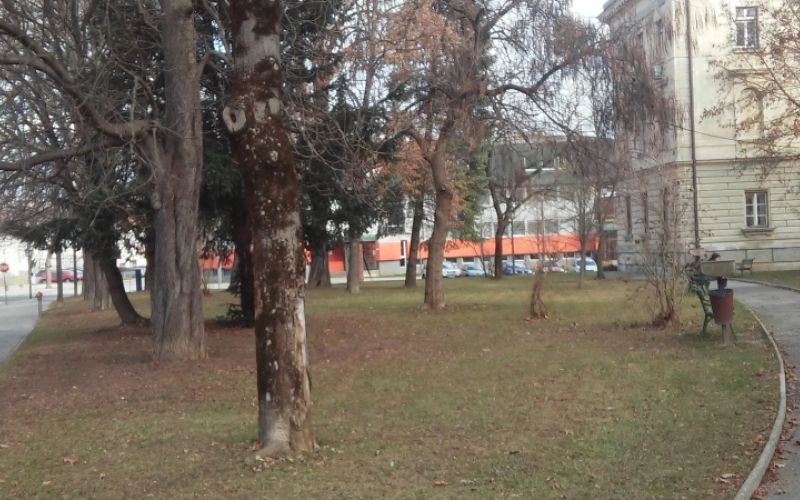 1482316253_mv-kip_pucnik.jpg