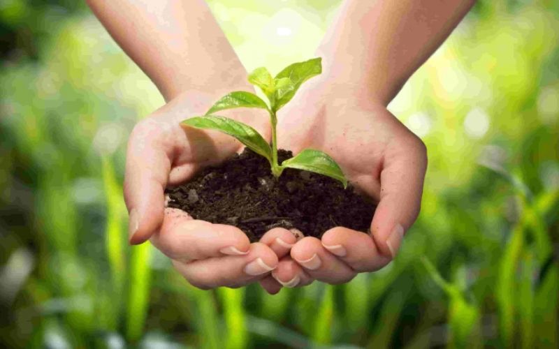 1521803534_agriculture.jpg