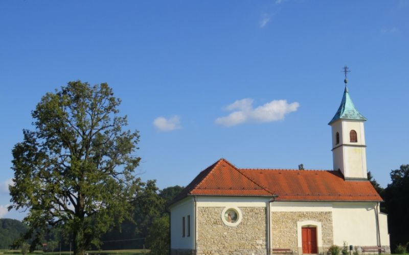 1536834317_em_vodnik_po_cirkulanah.jpg