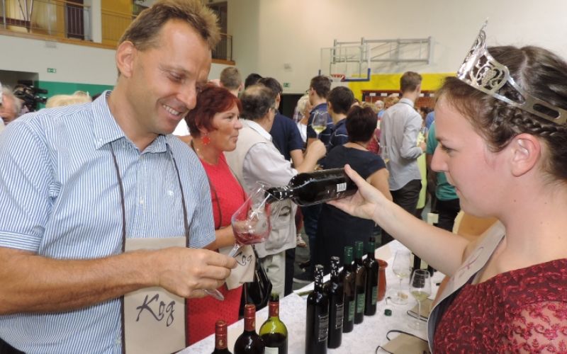 1503836516_ml-vinski_festival.jpg