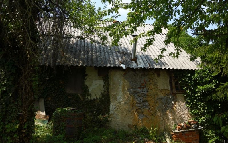 1643030465_cg_kmetija.jpg