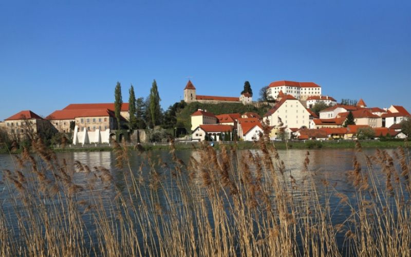1478183420_cg_naslovnica_87_2.jpg