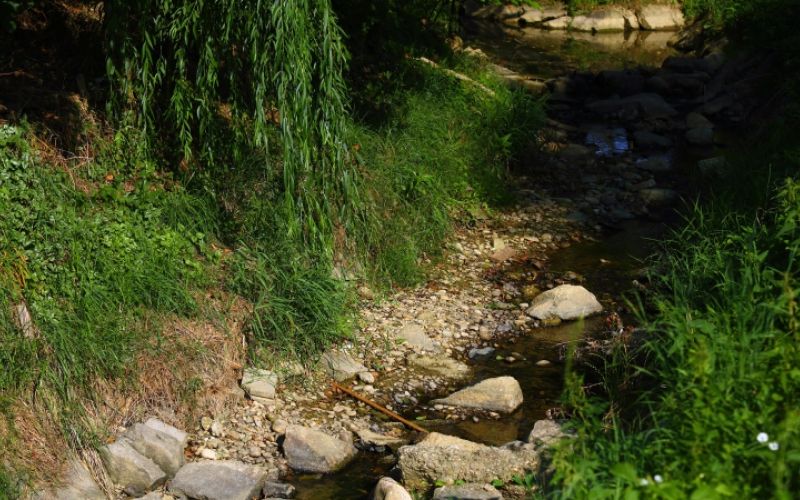 1659029430_cg_susa_prazna_struga.jpg