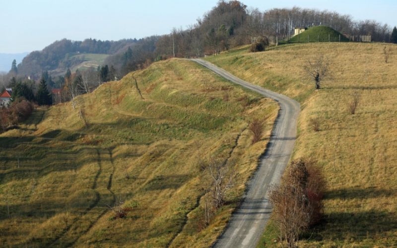 1480001071_cg_panorama.jpg