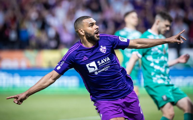 soudani.jpg