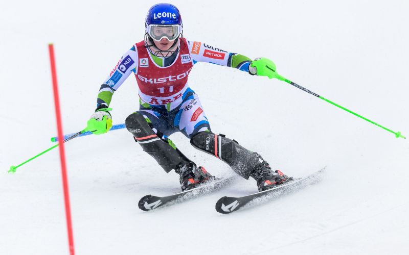 andreja slokar.jpg