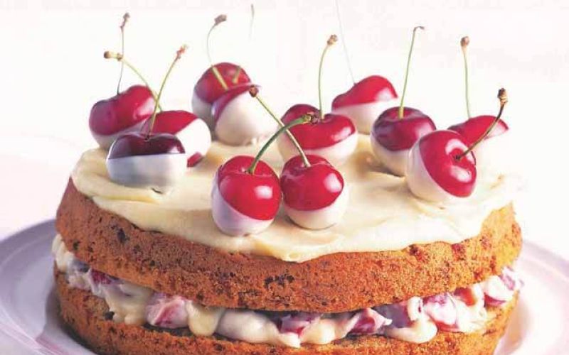 CAKE 1