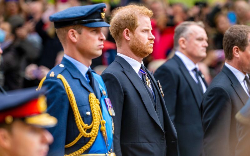 Princ William, Princ Harry (2).jpg