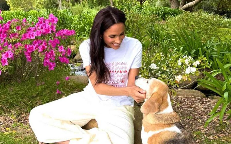 Meghan Markle, pes