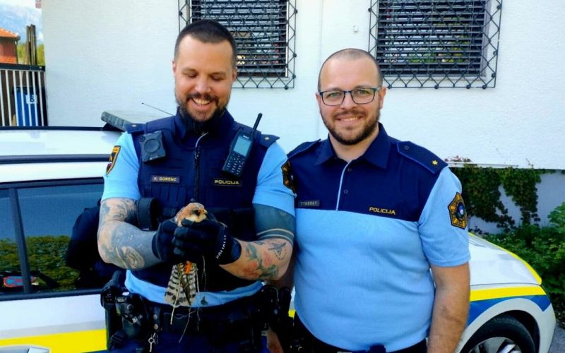 policista, postovka.jpg