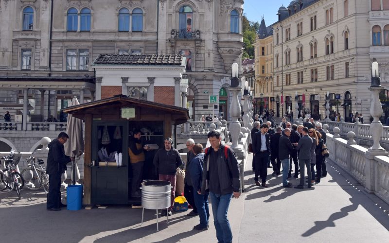 kostanj utica ljubljana.jpg