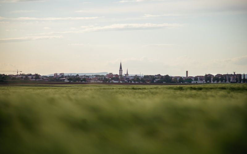 simbolična, murska-sobota, pomurje, prekmurje, polje, njiva