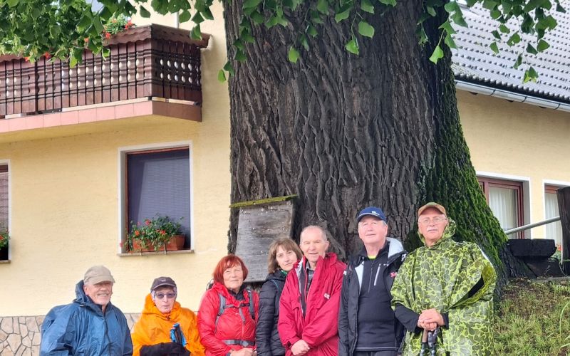 trdinova-pot, upokojenci