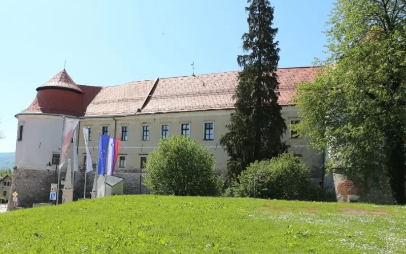 posavski muzej brezice.jpg