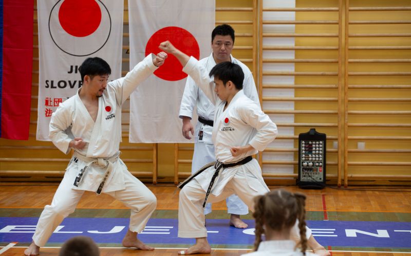 karate seminarcelje252.jpg