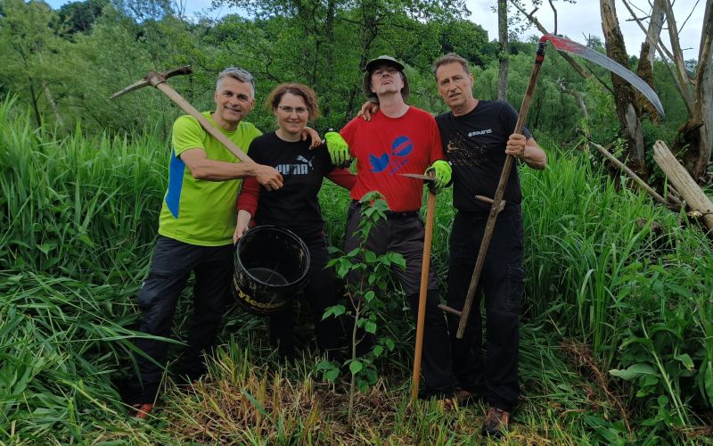 mokrisce, zdravci, sadike