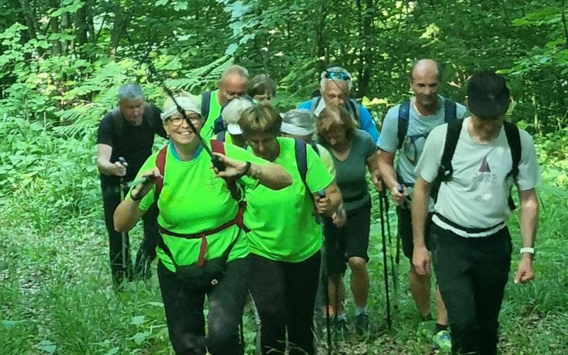 trdinova-pot, du-dolenjske-toplice