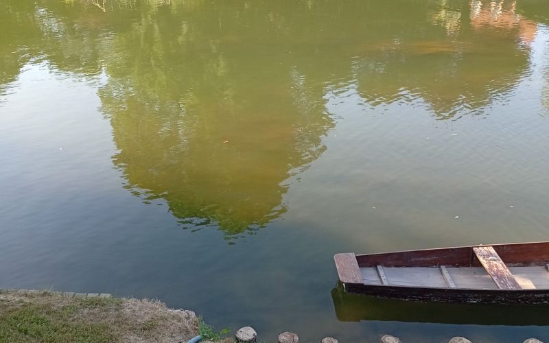 reka-krka, rjava