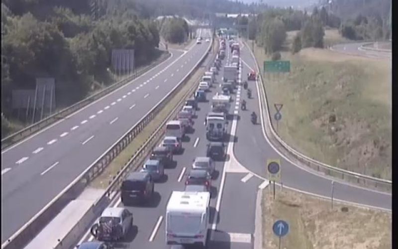 dars hrušica.jpg