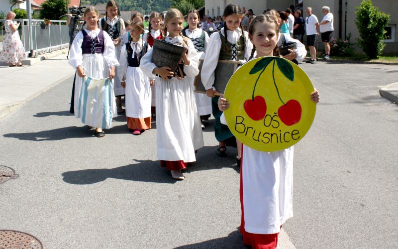 praznik-cesenj-brusnice-2025