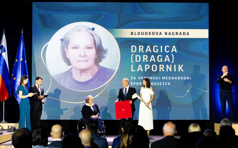 lapornik.jpg