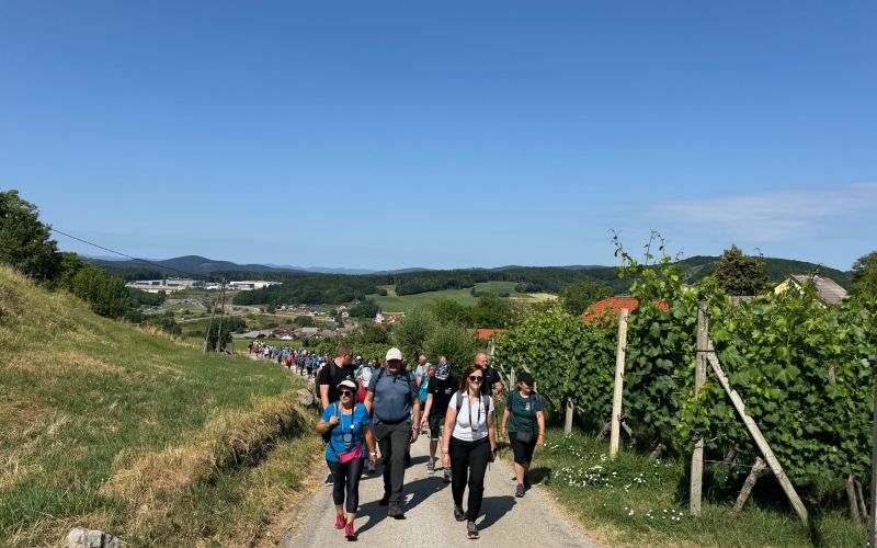 mirnopesko-brencanje