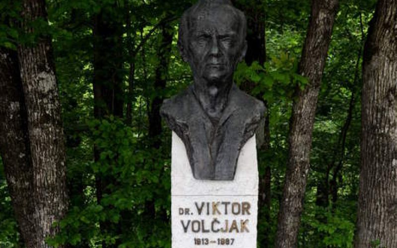 Viktor Volčjak.jpg