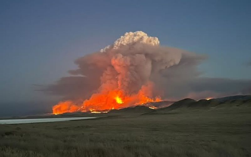 požar california.jpeg