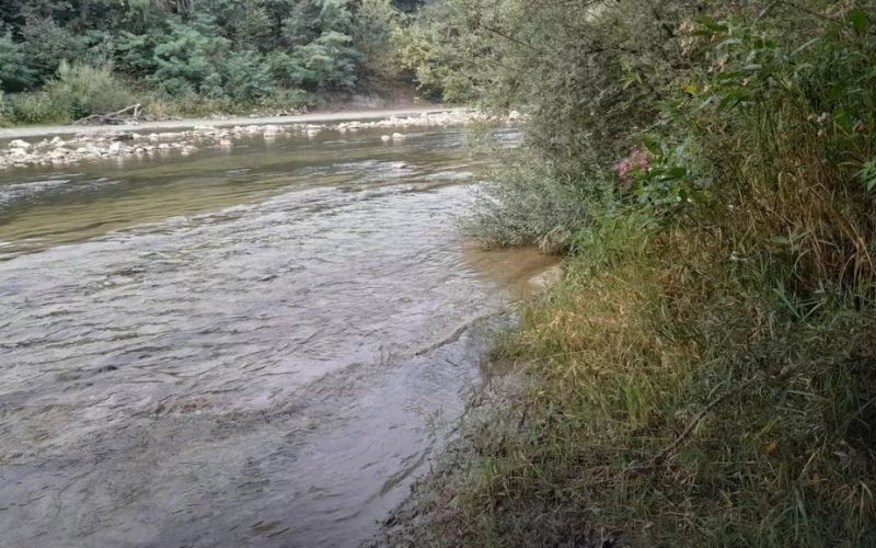 savinja občina.jpg