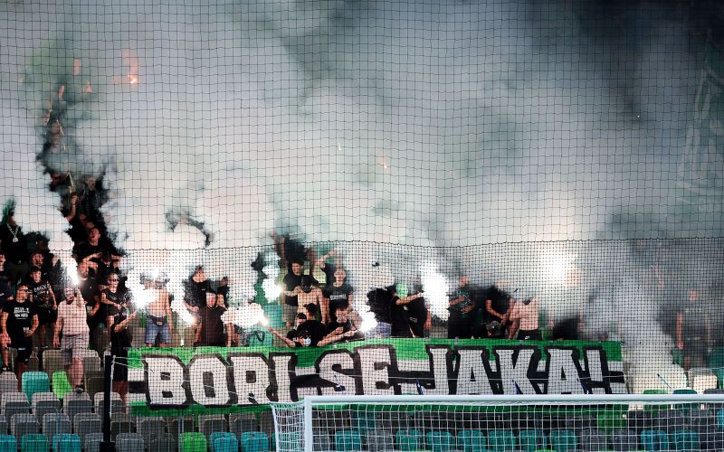 green dragons fb.jpg