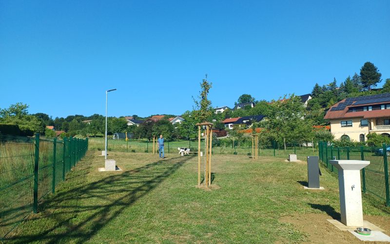 pasji-park, zibernik, psi